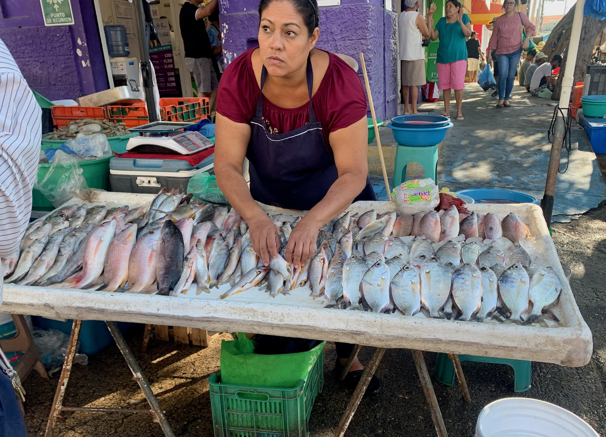 Mazatlán – Juárez Market